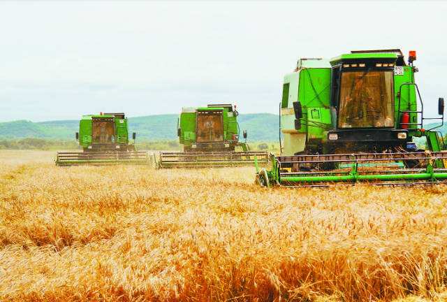 土壤水分測(cè)量儀