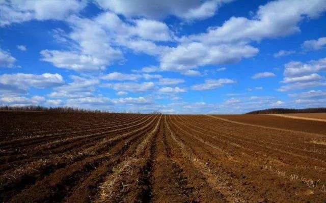 土壤溫度濕度測(cè)定儀